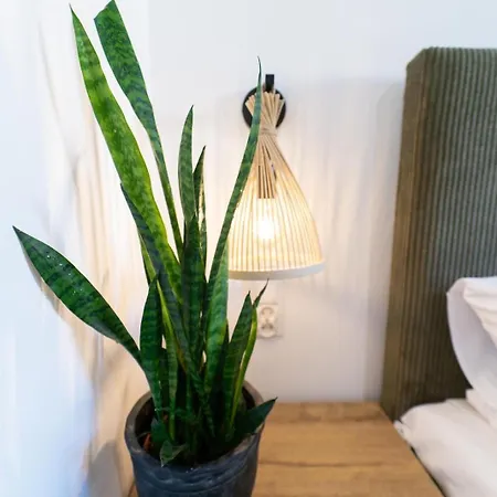 Cztery Pory Roku * ויילה