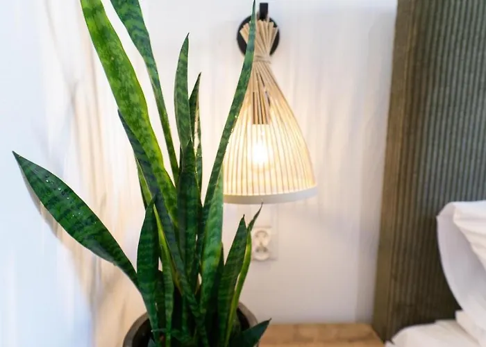 Cztery Pory Roku * Wiele