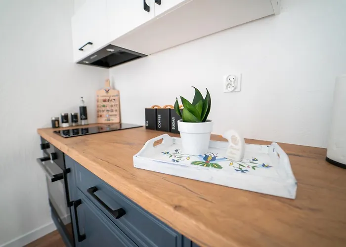 Cztery Pory Roku 公寓 *